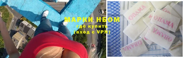 ГАЛЛЮЦИНОГЕННЫЕ ГРИБЫ Абаза
