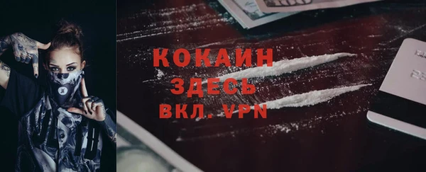 ГАЛЛЮЦИНОГЕННЫЕ ГРИБЫ Абаза