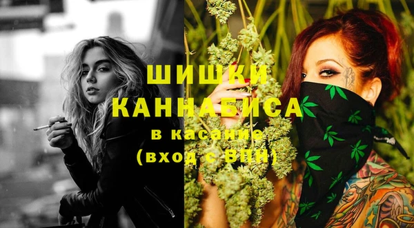 ГАЛЛЮЦИНОГЕННЫЕ ГРИБЫ Абаза