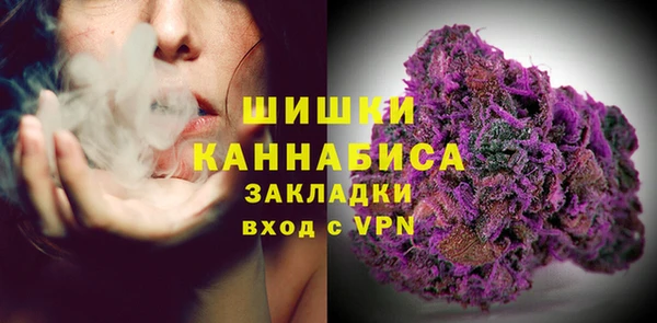 ГАЛЛЮЦИНОГЕННЫЕ ГРИБЫ Абаза